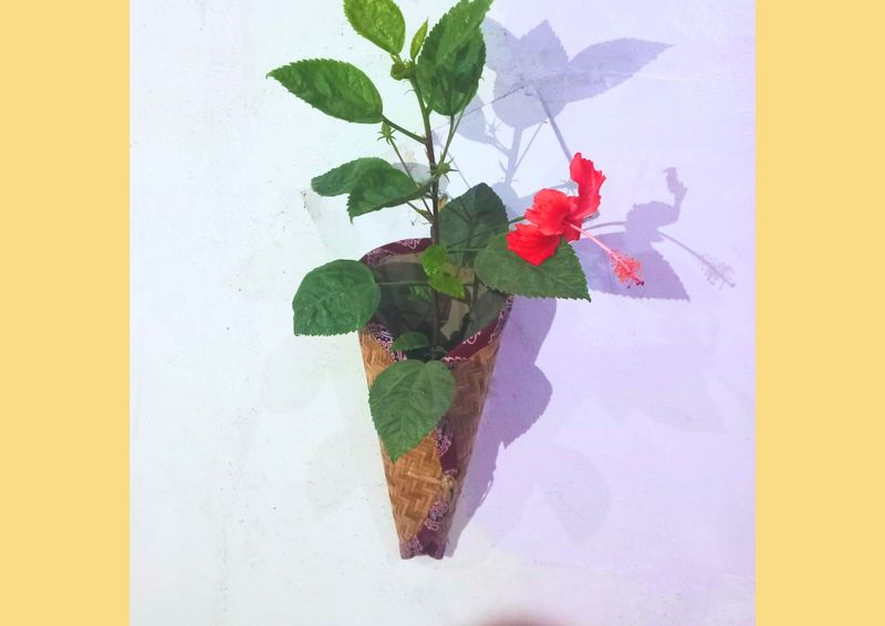 Foldable Cone Planter Foldable Cone Planter