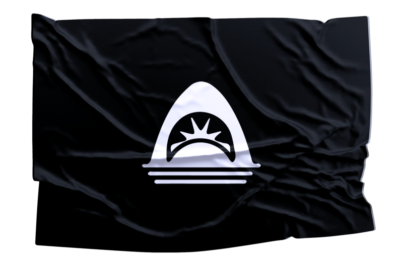 Drapeau TEAM REALITY