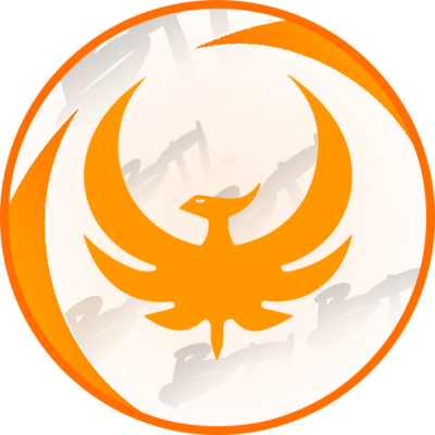 BTL ESPORT
