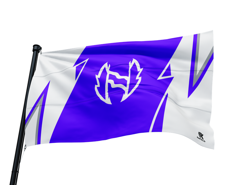 Drapeau Nactis E-sport