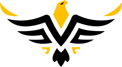 Evorion e-sport