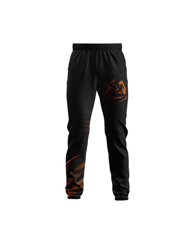 Jogging Sublimé &quot;TEAM VINIWAZ&quot;