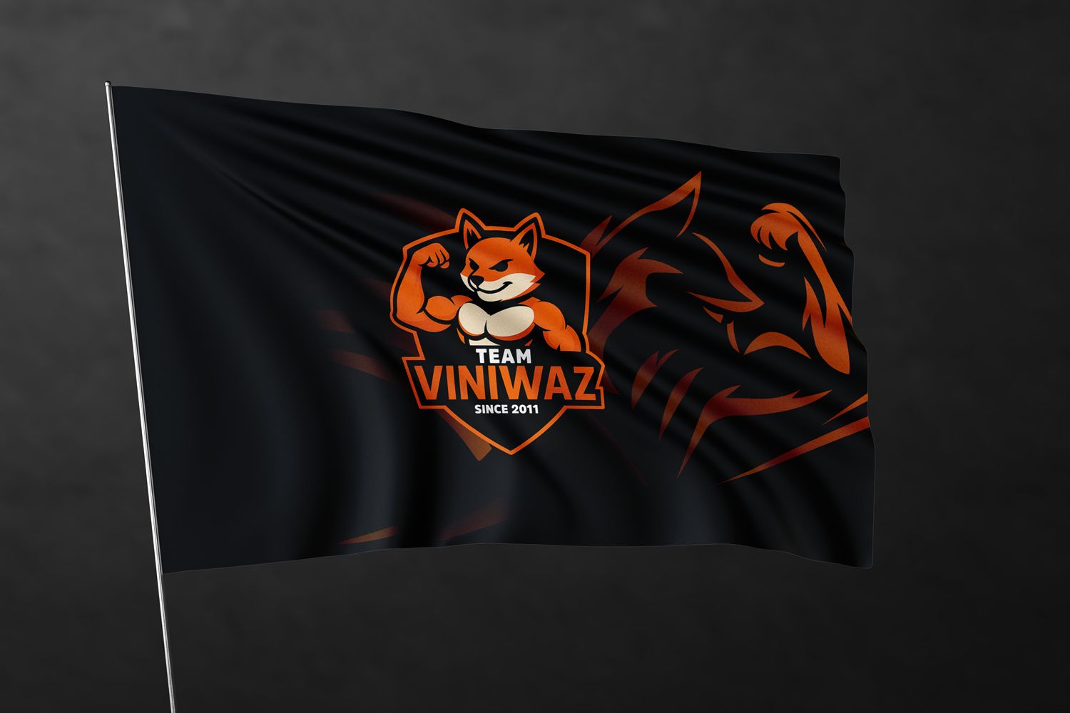 Drapeau &quot;TEAM VINIWAZ&quot;