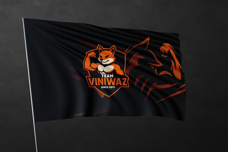 Drapeau &quot;TEAM VINIWAZ&quot;