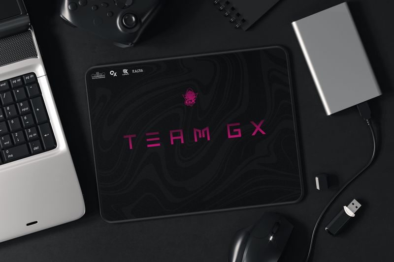 Tapis de souris 33,5 cm x 25 cm TEAM GX