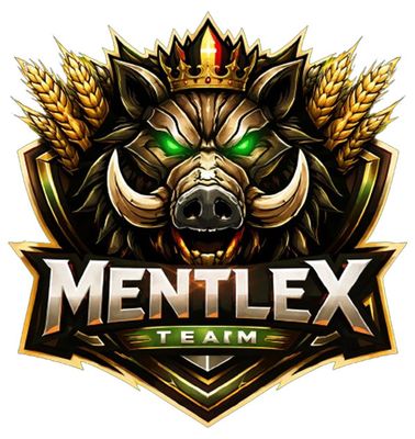 Mentlex&nbsp;Team