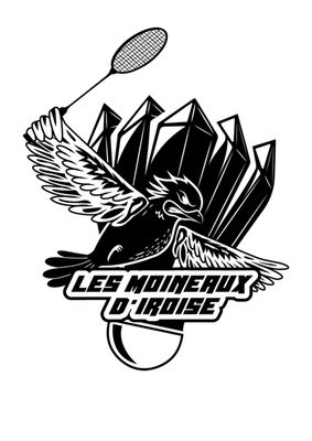 LES MOINEAUX D'IROISE