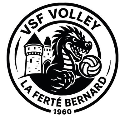 VSF VOLLEY