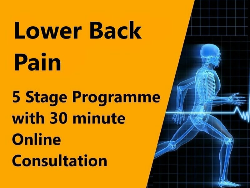 Lower Back Pain 5 Stage Programme with 30 minute online consultation