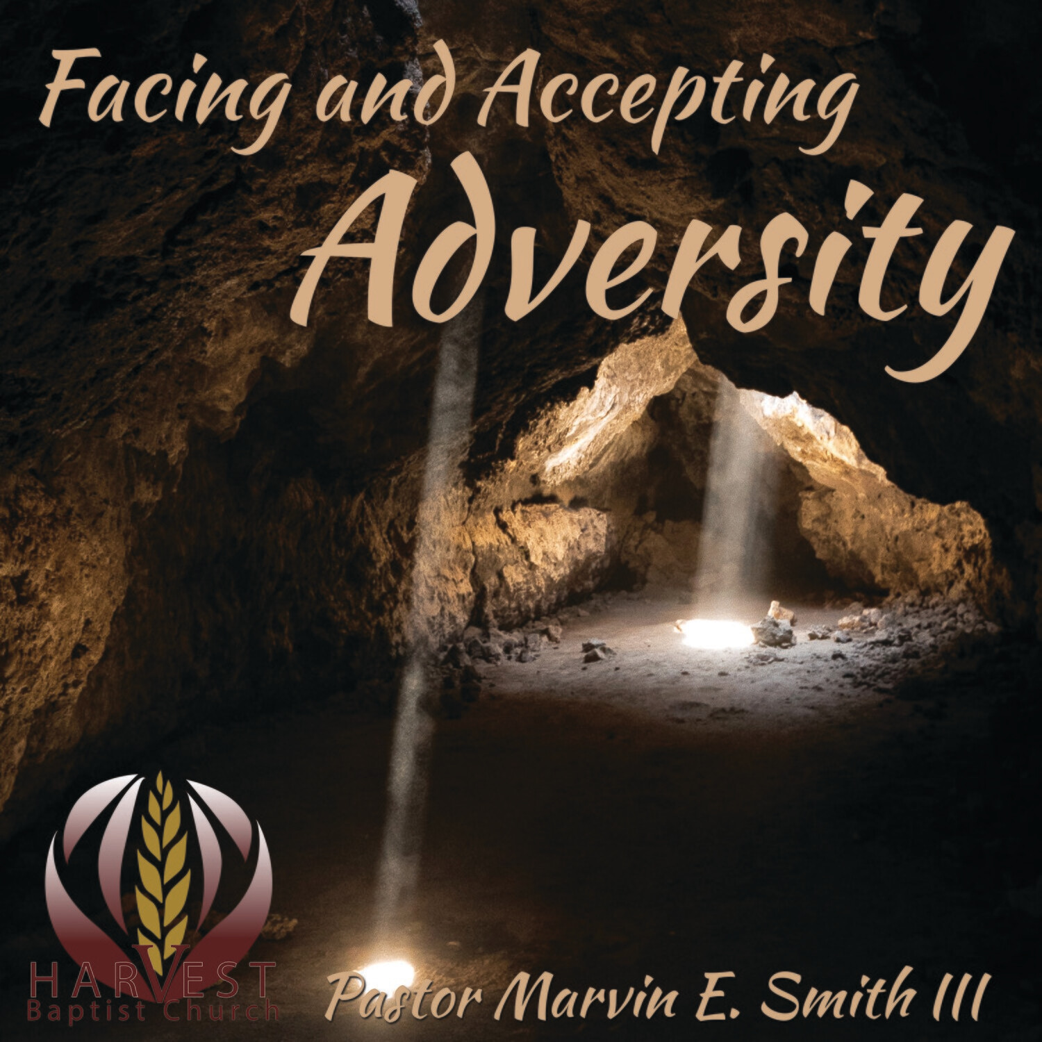 Facing and Accepting Adversity
