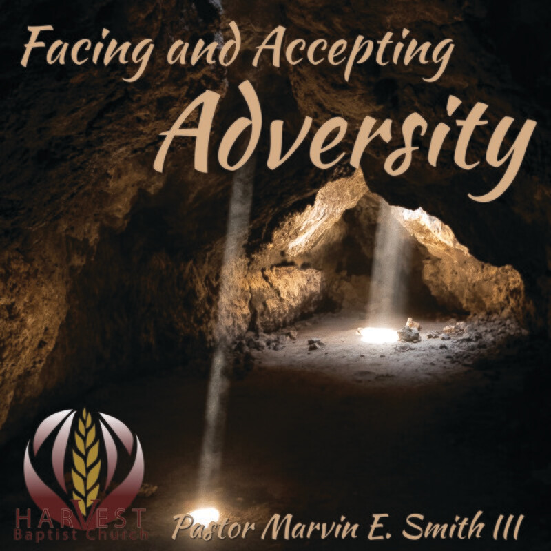 Facing and Accepting Adversity