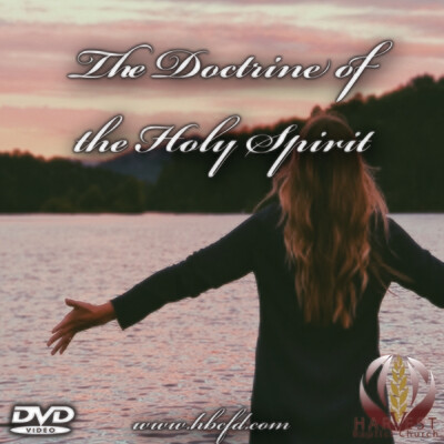 The Doctrine of the Holy Spirit The Doctrine of the Holy Spirit