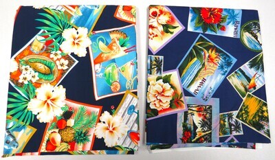 ​Fabric: All Seasons- Summer (Hawaiian Vacation Bundle)