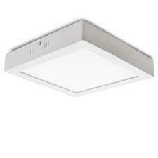 Lights and Fan