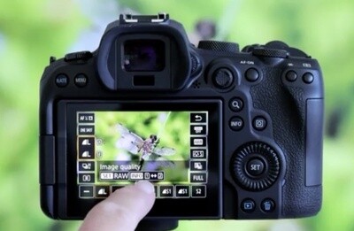 Understanding your EOS R-series Camera – Practical Course AP01