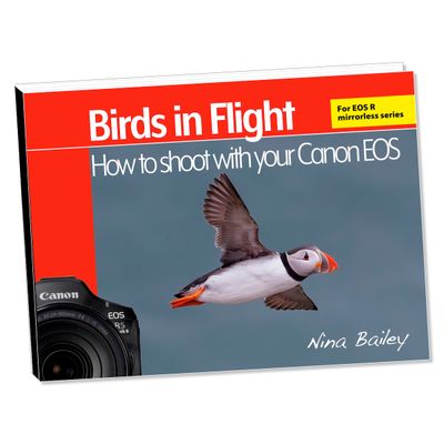 Common mistakes and how to avoid them