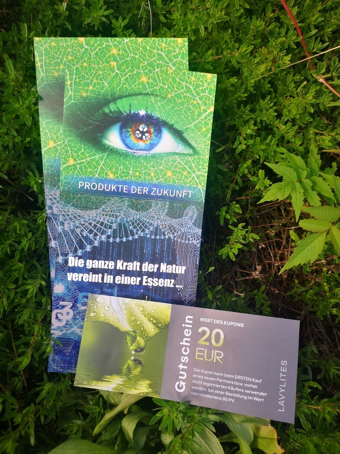 Lavylites Wertgutschein 20 Euro