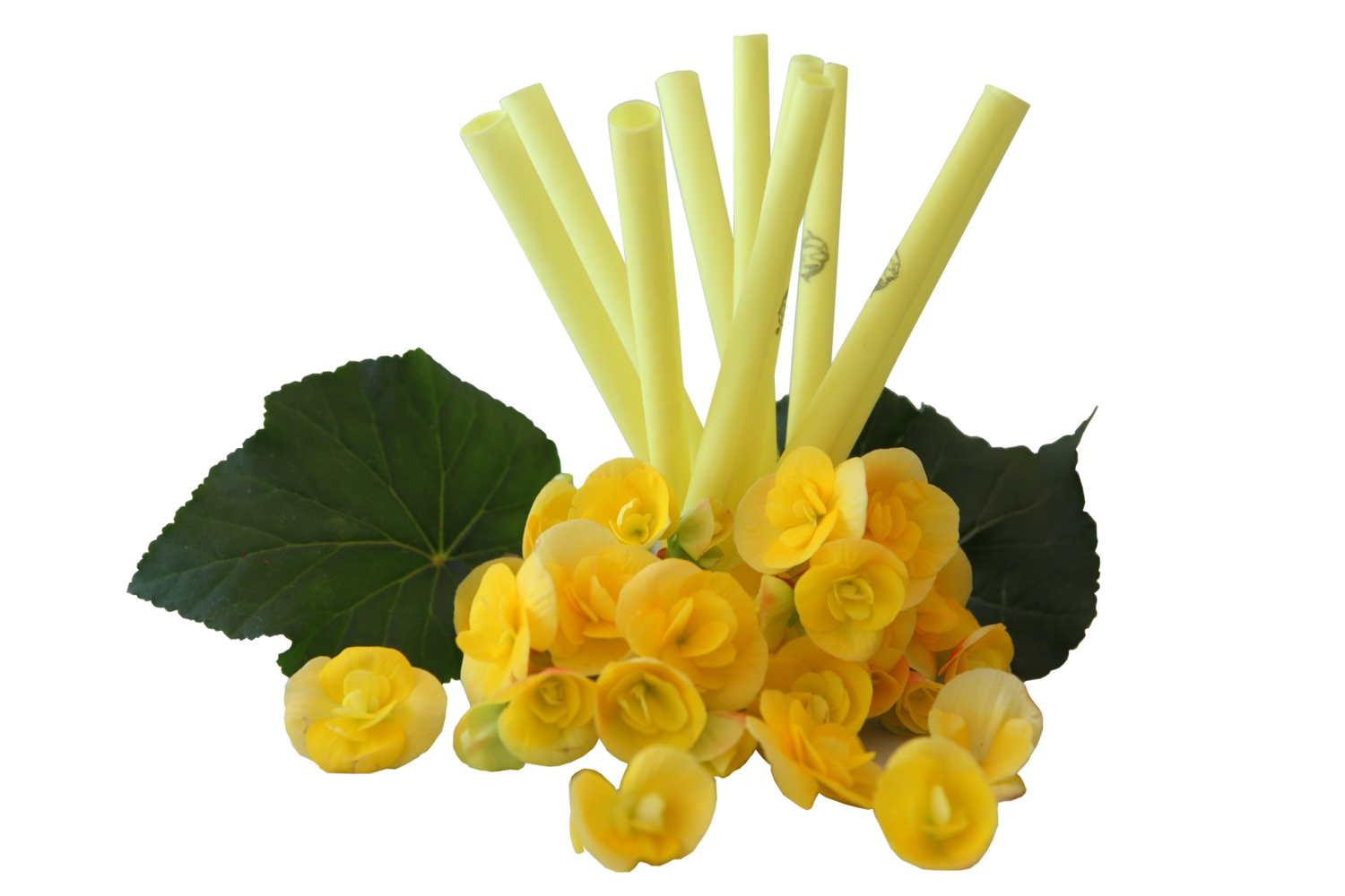 IL-DO® Körperkerze Standard Gelb, Solar-Plexus