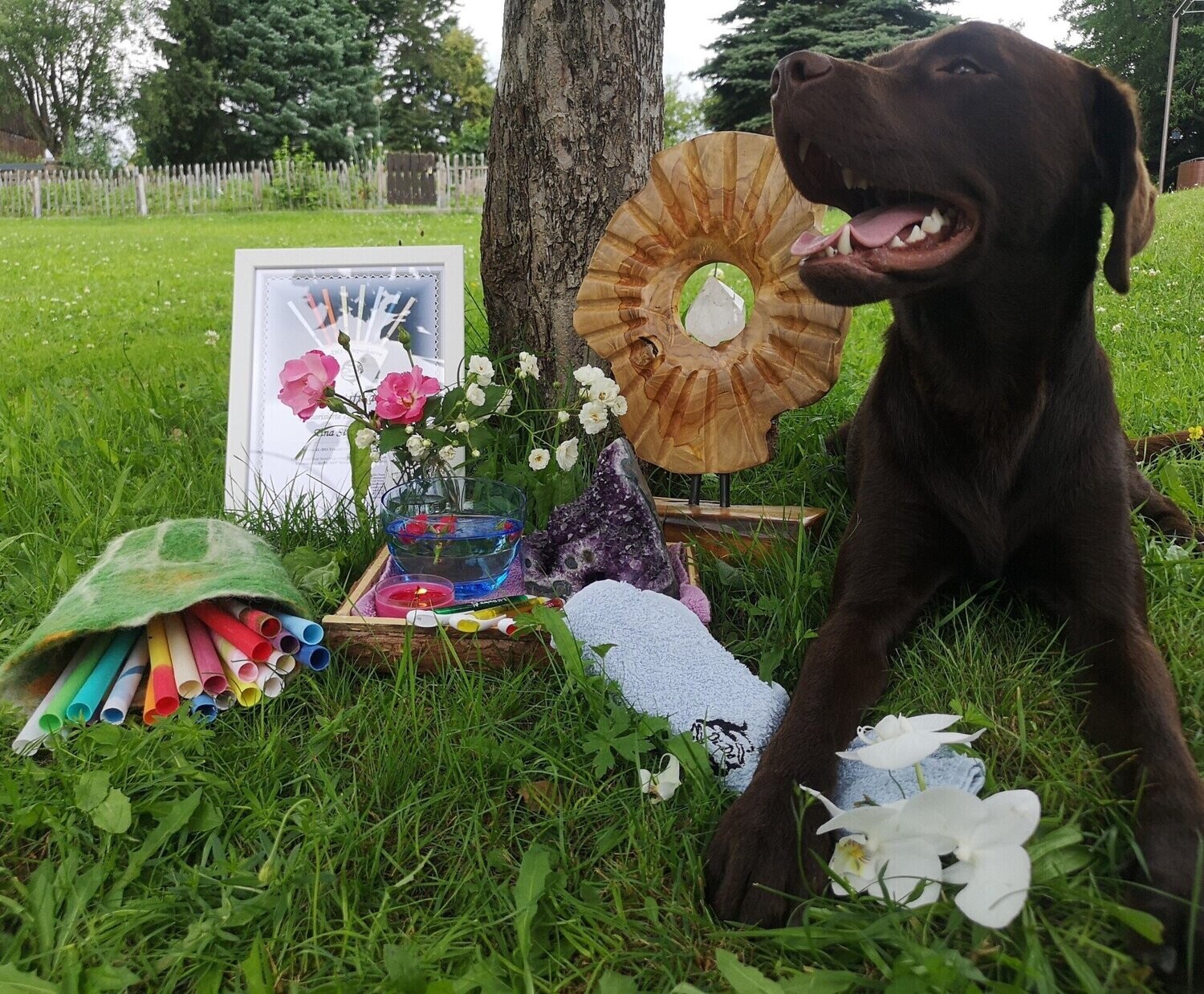 IL-DO® Körperkerzen-Behandlung Tier (Fernbehandlung) IL-DO® Körperkerzen-Behandlung Tier (Fernbehandlung)