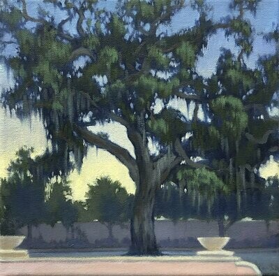 Live Oak with Gradient Sky – Canvas Giclee