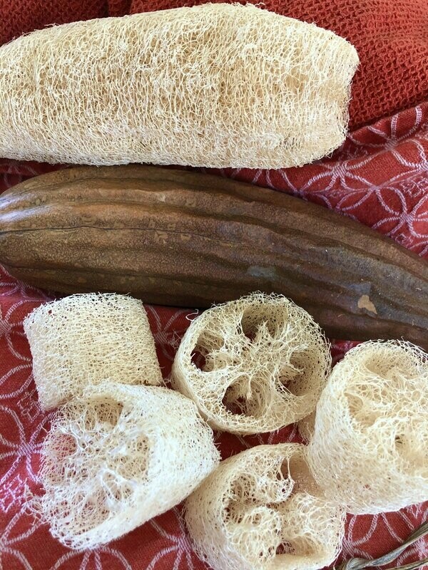 Loofah Sponges - 4 Discs