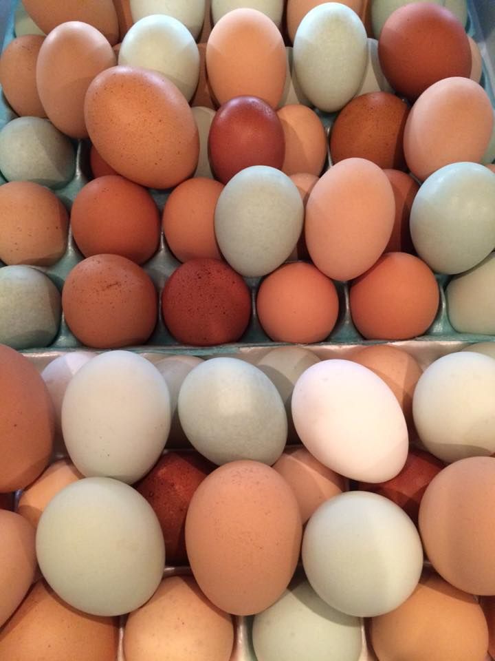 Workshop - Egg-cellent Easter Eggs 4/4/2025
