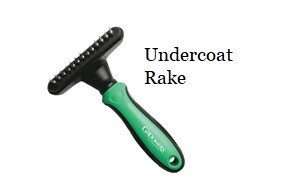 Undercoat Rake