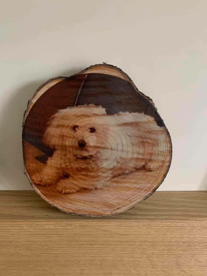 Photo Log Slice