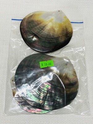 Seashell