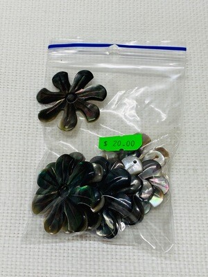 Seashell-6