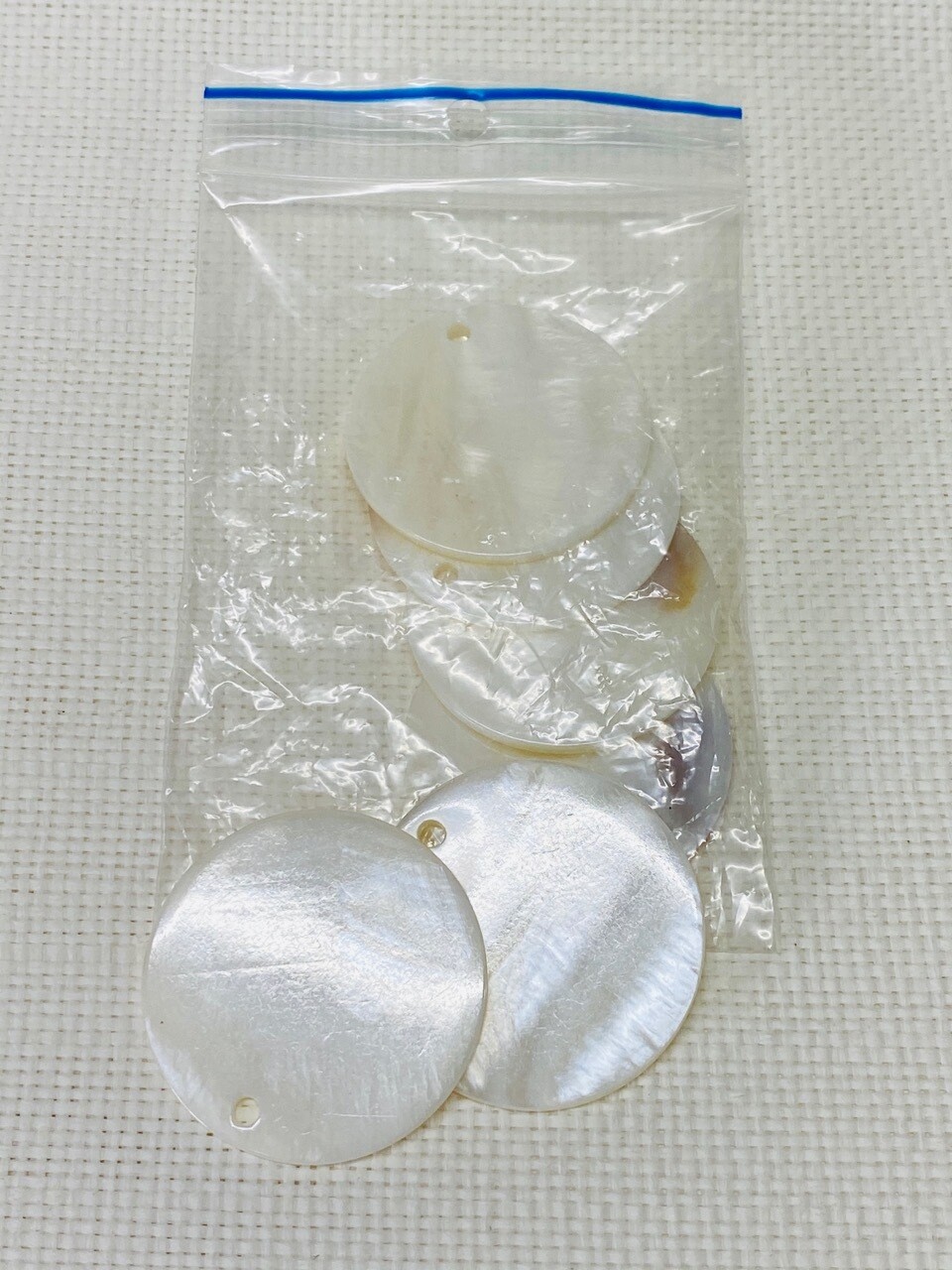 Seashell-10