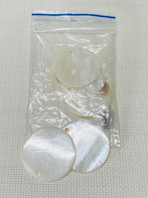 Seashell-10