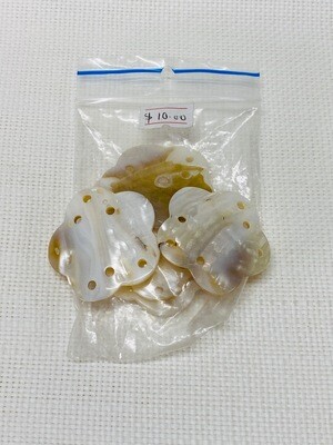 Seashell-13