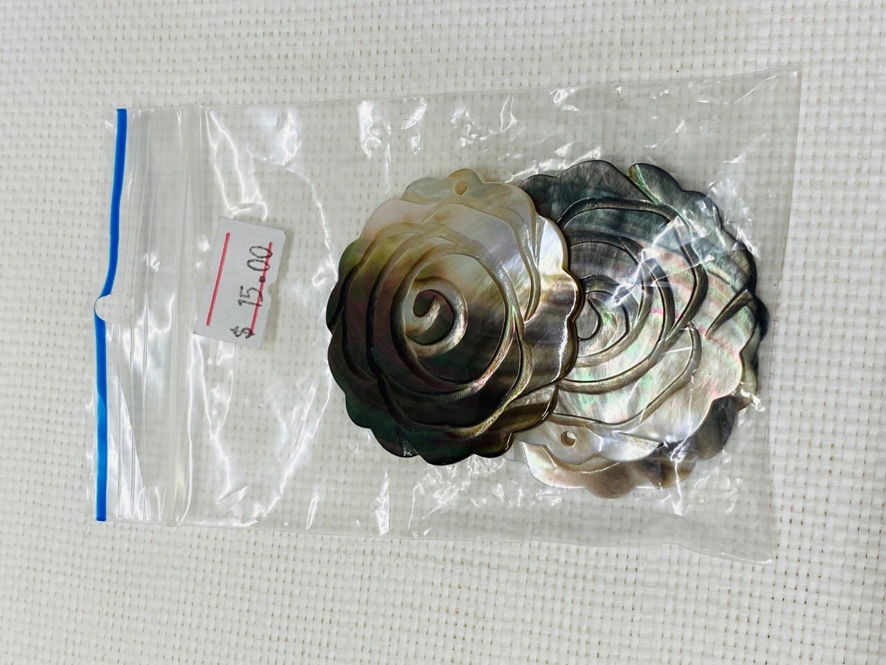 Seashell-14