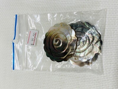 Seashell-14