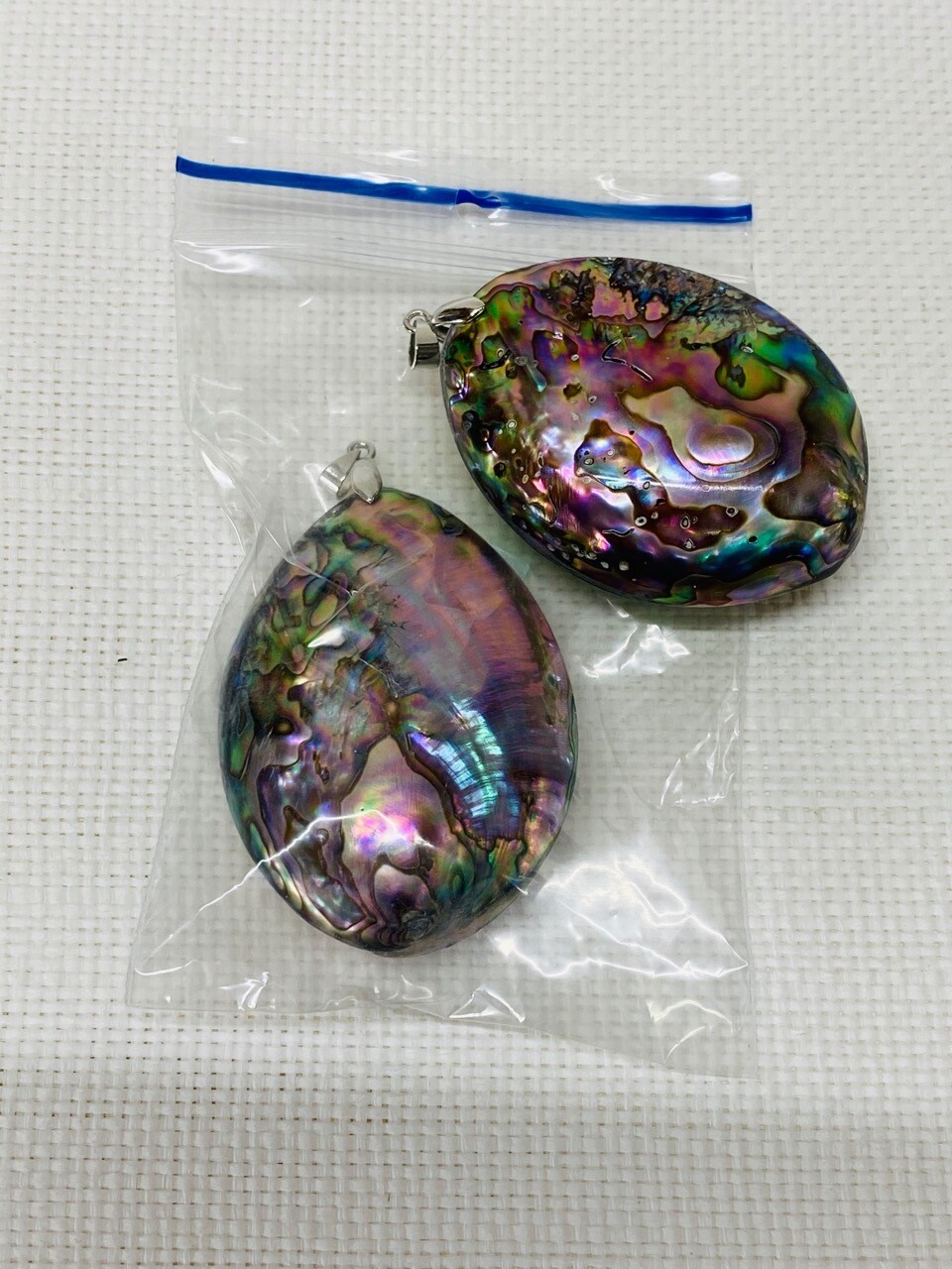 Seashell-17