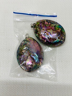 Seashell-17
