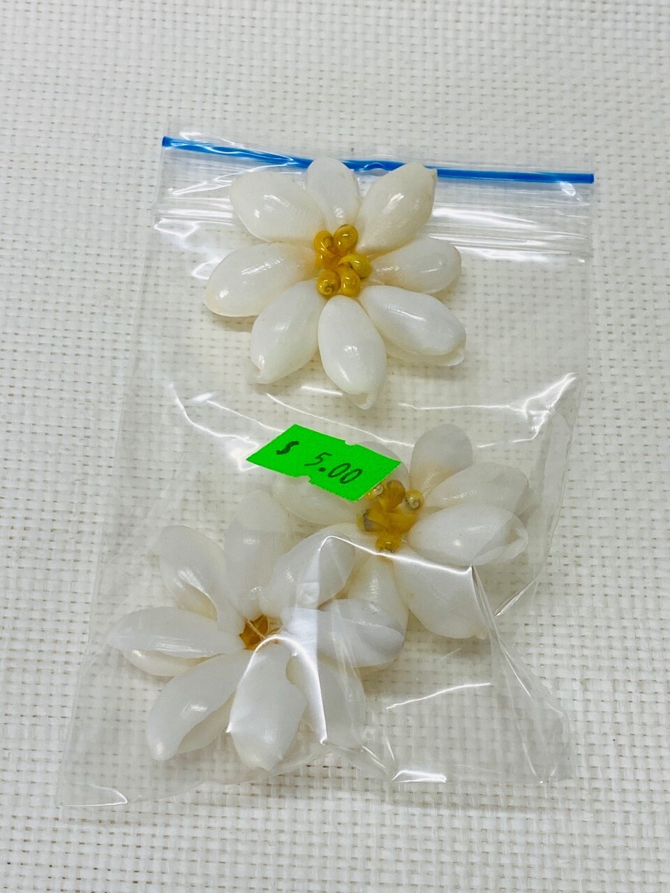 Seashell-5