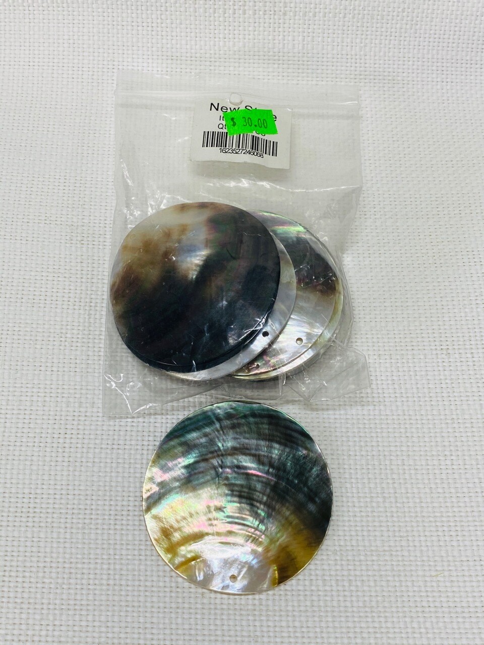 Seashell-7
