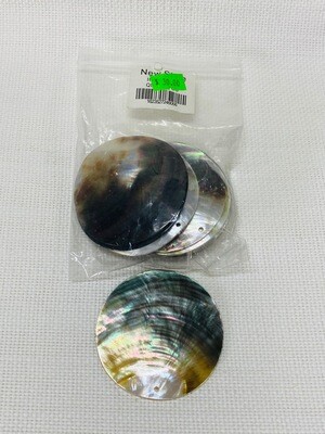 Seashell-7