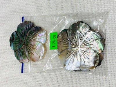 Seashell-15