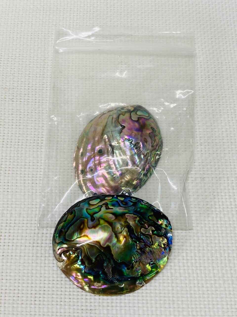 Seashell-11