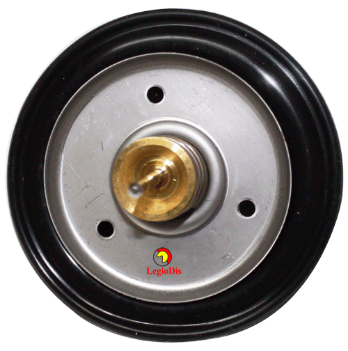 MEMBRANA    CL COI M20