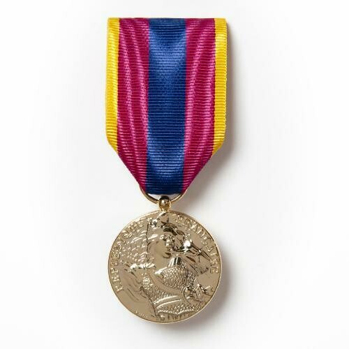 Médaille de la Défense Nationale - échelon or
