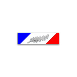Dixmude - Médaille de la Sécurité Intérieure - échelon argent