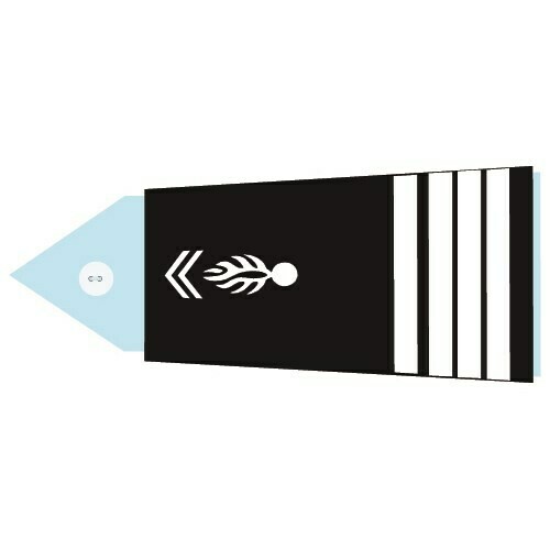 Fourreaux - Chef d'escadron