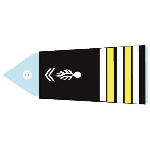 Fourreaux - Lieutenant-colonel