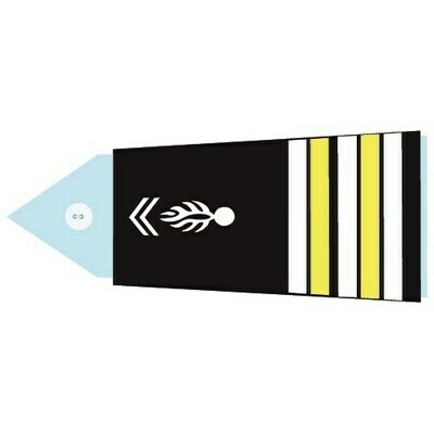 Fourreaux - Lieutenant-colonel