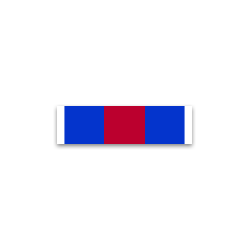 Dixmude - Médaille des Réservistes Volontaires de Défense et de Sécurité Intérieure - échelon argent