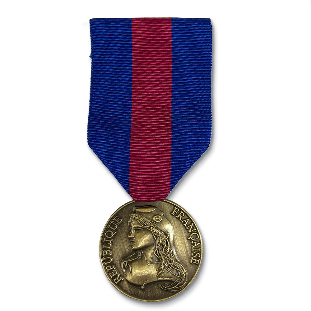 Médaille des Réservistes Volontaires de Défense et de Sécurité Intérieure - échelon bronze
